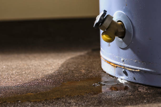 Best Flood restoration services  in Trenton, GA