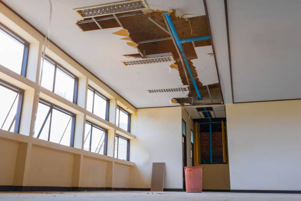 Best Water damage contractors near me  in Trenton, GA