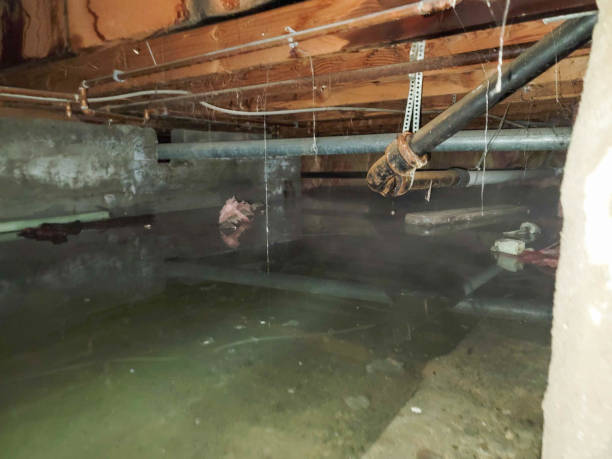 Best Flood damage cleanup  in Trenton, GA