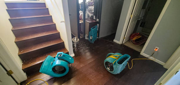 Best Residential water damage restoration  in Trenton, GA