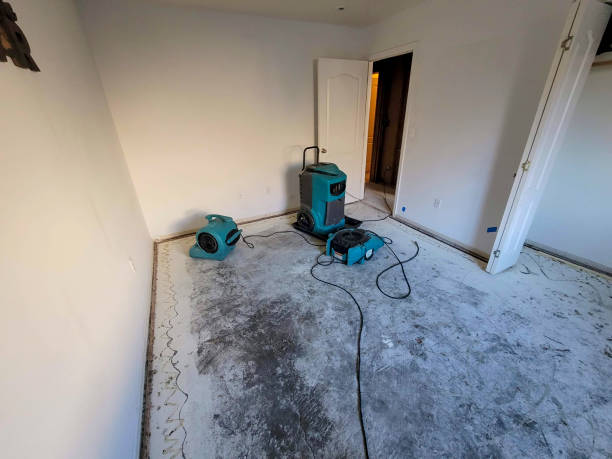 Best Carpet water damage restoration  in Trenton, GA