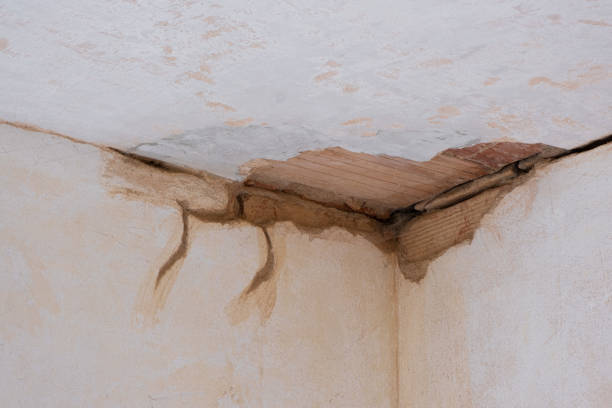Best Residential water damage restoration  in Trenton, GA