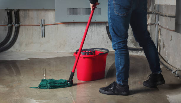 Carpet water damage restoration in Trenton, GA