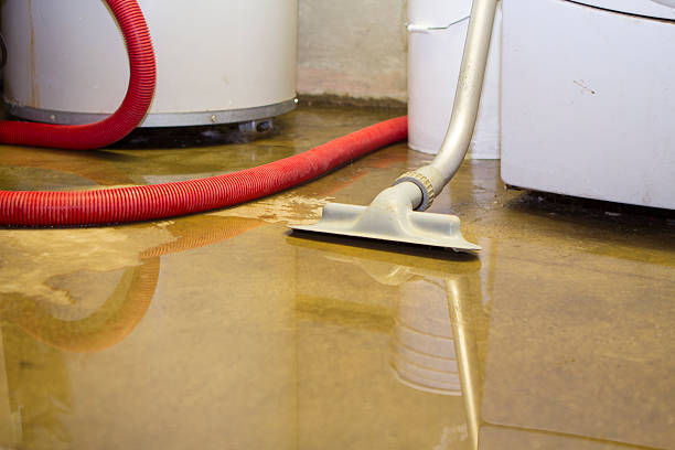  Trenton, GA Water damage restoration Pros