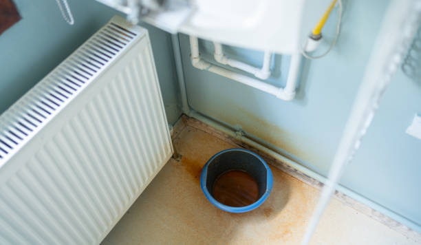 Best Ceiling water damage repair  in Trenton, GA