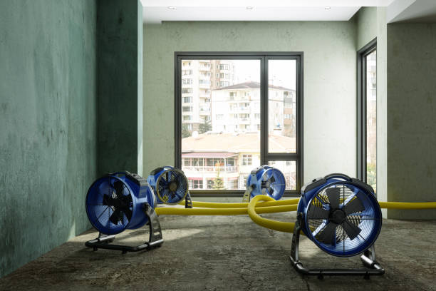 Best Water damage cleanup near me  in Trenton, GA